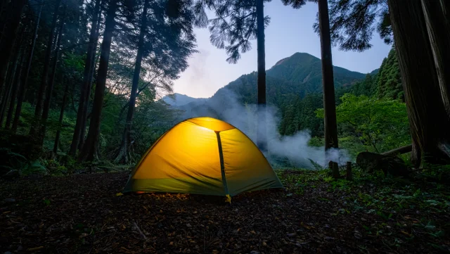 夜のキャンプサイトでテントの灯りがともる風景。キャンプの雰囲気を伝える。